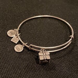 Alex and Ani Bracelet Present Rafaelian Silver